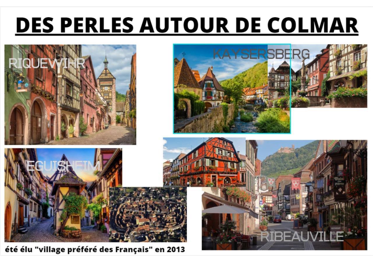 Thann Colmar - 1 Chambre - 5 Pers - Parking Kültér fotó
